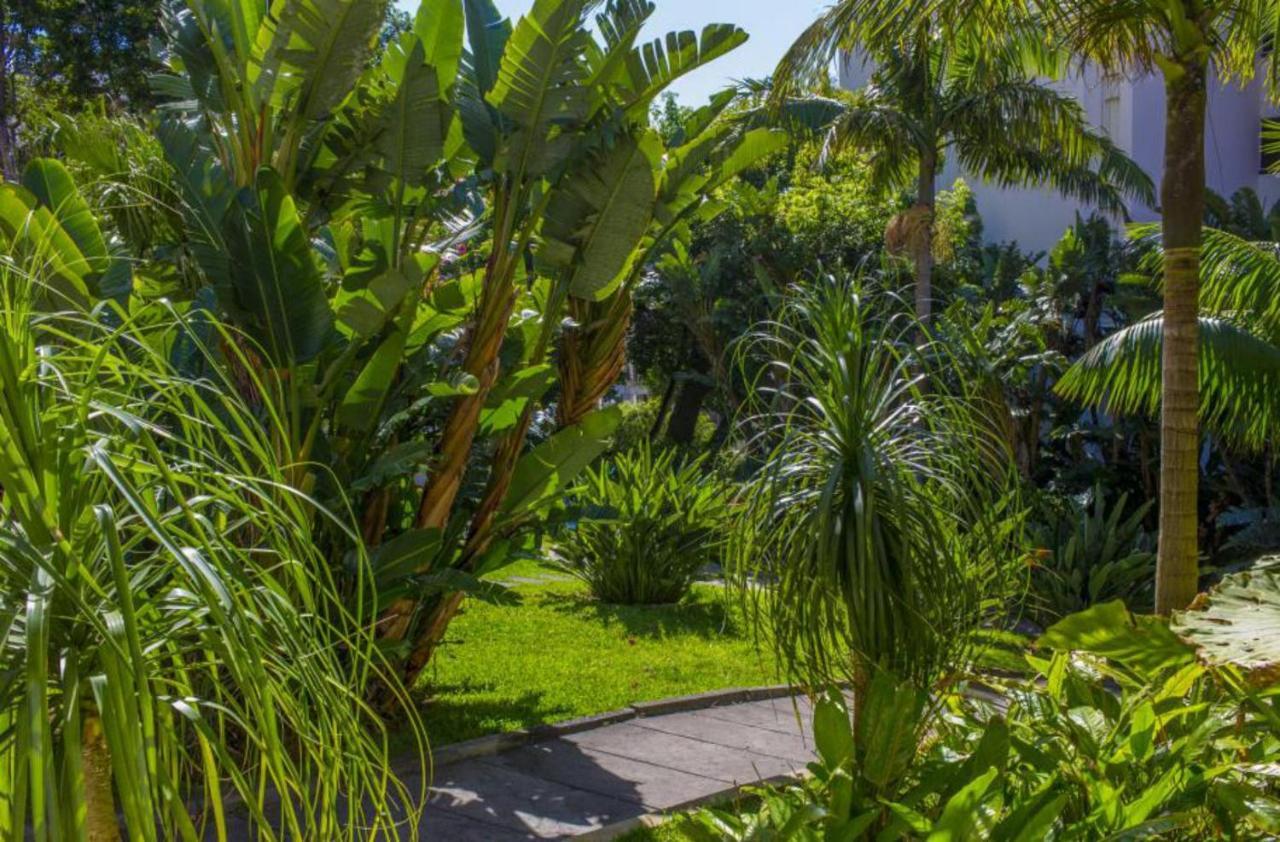 Dorisol Estrelicia Hotel Фуншал Екстер'єр фото